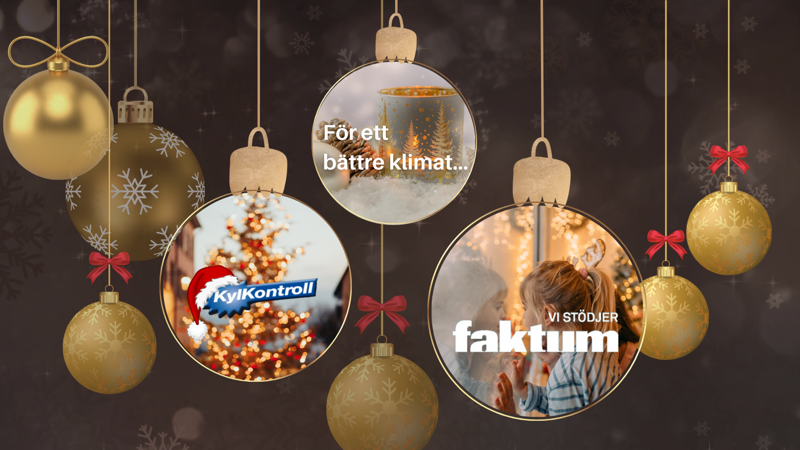kylkontroll, sponsring, faktum